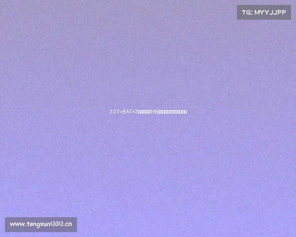 2.0T+8AT+3把锁！哈弗H9全新换代，实力不输普拉多